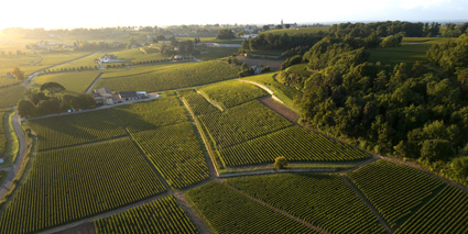 Château Larcis-Ducasse Weinberge - ©Antoine Ollier